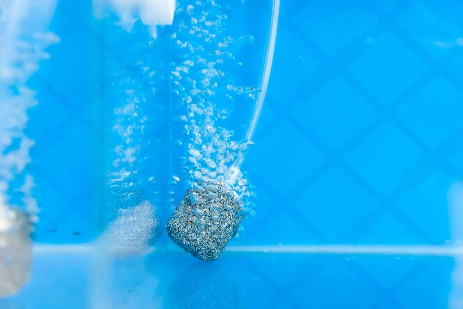 Close-up of sediment and mineral build-up settling inside a residential water tank